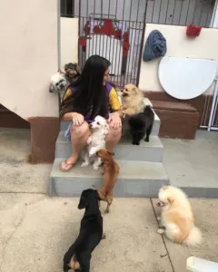 Loja — foto 5